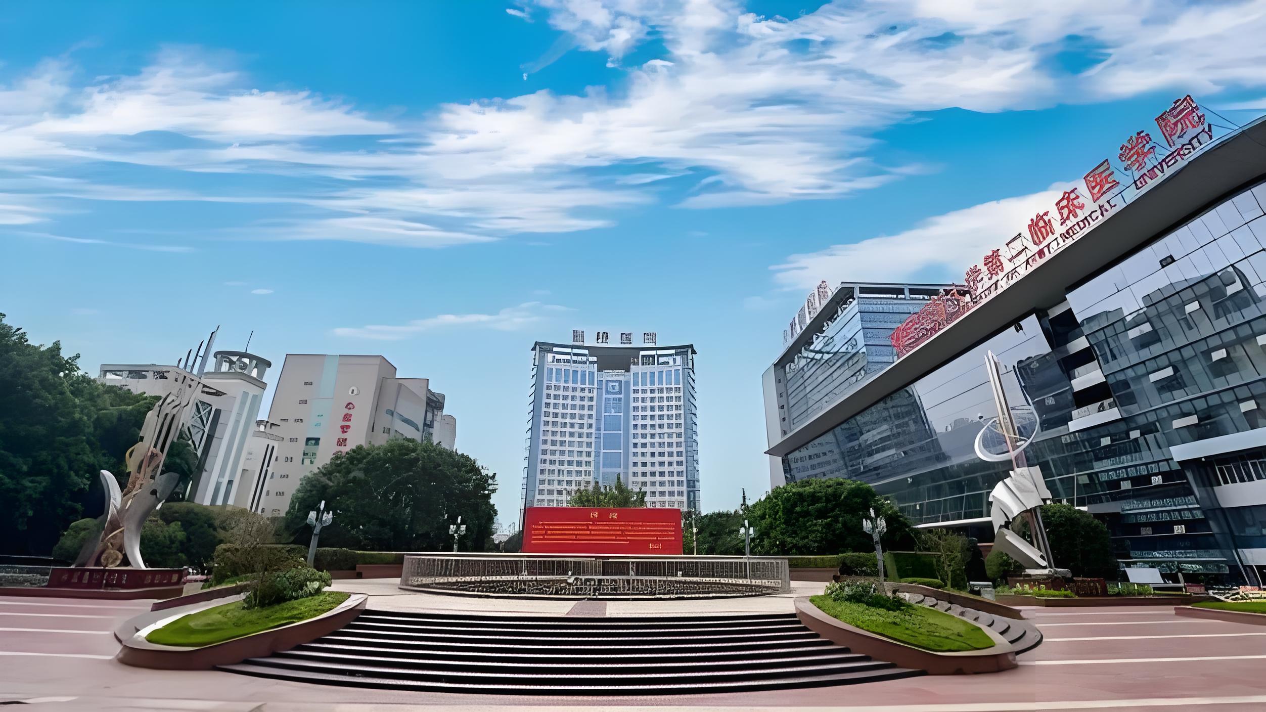 Hospital Introduction & Medical Care Guide 1 Building