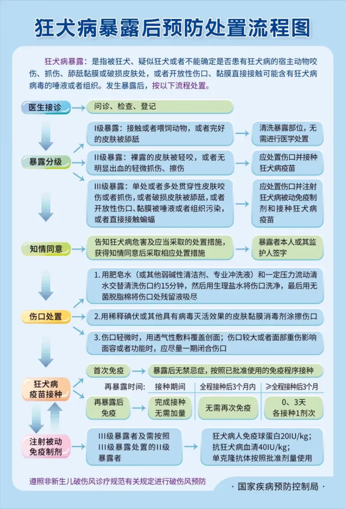 Rabies Vaccine for Expats in China: Full Guide with 10-City Clinics 6 狂犬病暴露后预防处置流程图